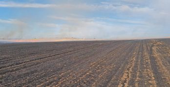 Над Свиленград тръгна пожар, върви успоредно на магистрала „Марица“ в посока Капитан Андреево