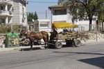 Забелязано в Свиленград: Борба с жестокото слънцегреене през септември /снимка/