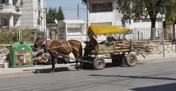 Забелязано в Свиленград: Борба с жестокото слънцегреене през септември /снимка/