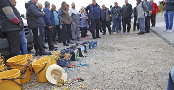Свиленградските лозари излязоха на протест, подаряват грозде на пътуващи, полицаи и журналисти
