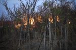 Хлапе подпали два пожара за ден, пекло си месо и си хвърлило цигарата