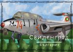 Картичка на Яна Георгиева се превърна в послание на Свиленград към света