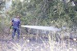Голям пожар край Харманли: Огънят е обхванал гора и лозя между Коларово и Доситеево