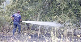 Голям пожар край Харманли: Огънят е обхванал гора и лозя между Коларово и Доситеево