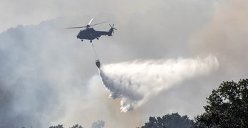 Пожарът в землището на с. Горно Луково е засегнал около 3000 декара гори, храсти и треви