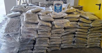 Голям удар на ГКПП „Капитан Андреево“: Задържаха украинец с 220 килограма марихуана