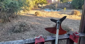 Търсим човек за почистване на двор