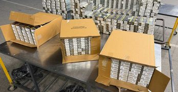Контрабанда на Капитан Андреево: Хванаха близо 130 000 къса цигари в камион с плодове